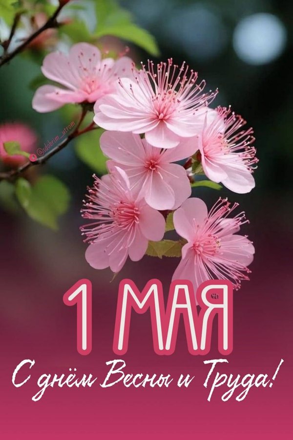 Изображение №14 853x1280 «Красивая открытка на 1 мая. С Днём Весны и Труда!» из коллекции «Открытки на 1 Мая»