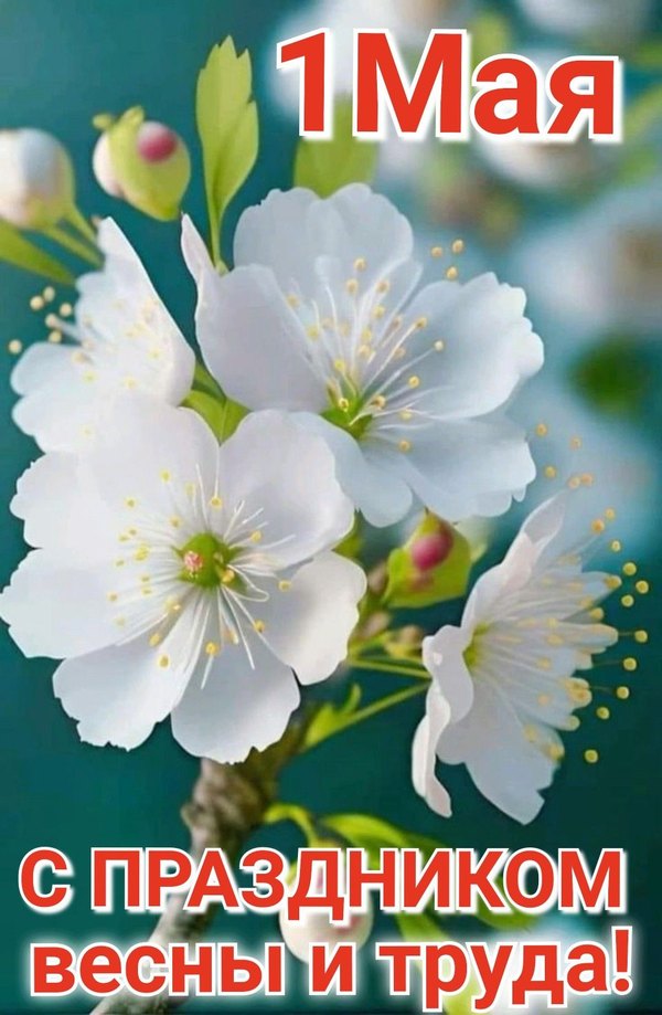 Изображение №34 960x1471 «Открытка на 1 мая. С праздником весны и труда!» из коллекции «Открытки на 1 Мая»