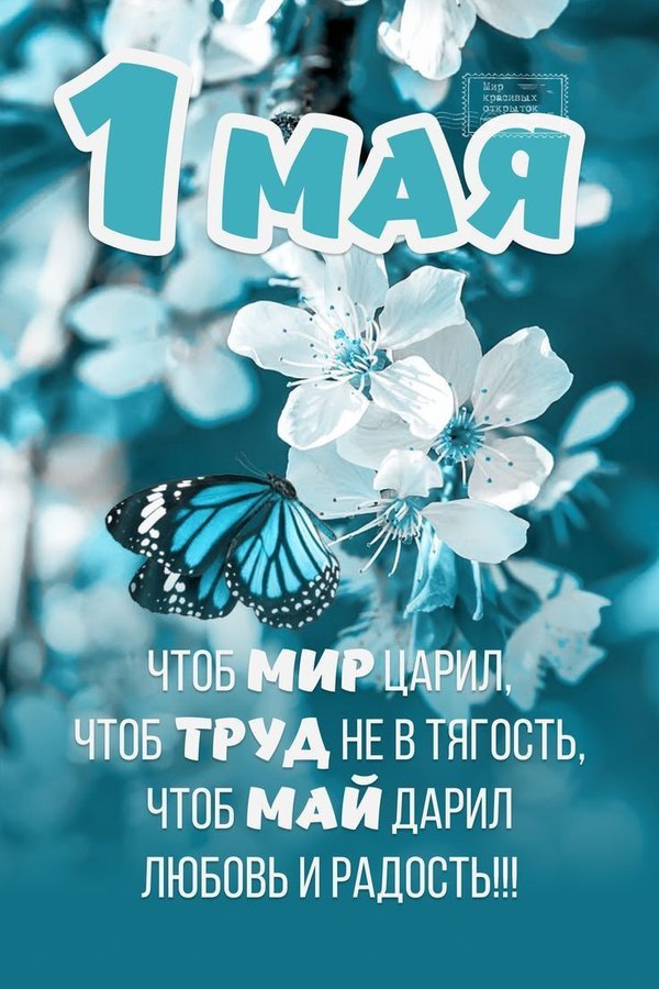 Изображение №18 736x1104 «Открытка-поздравление С 1 Мая.» из коллекции «Открытки на 1 Мая»