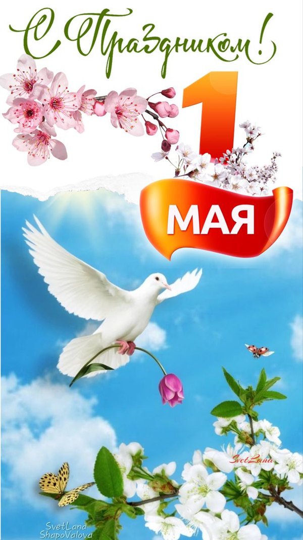 Изображение №37 675x1200 «Открытка С Праздником 1 Мая!» из коллекции «Открытки на 1 Мая»