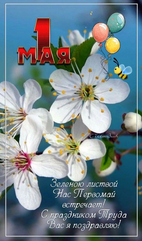 Изображение №41 787x1332 из коллекции «Открытки на 1 Мая»