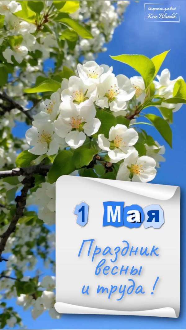 Изображение №22 1080x1920 «Открытка 1 мая Праздник весны и труда!» из коллекции «Открытки на 1 Мая»