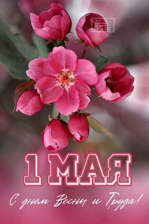 Изображение №23 872x1308 «Открытка 1 мая С днём весны и труда!» из коллекции «Открытки на 1 Мая»