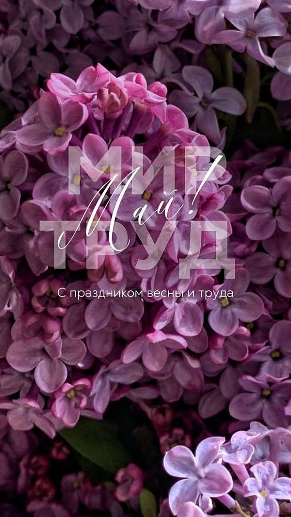 Изображение №29 656x1164 «Открытка 1 мая С Праздником Весны и Труда!» из коллекции «Открытки на 1 Мая»