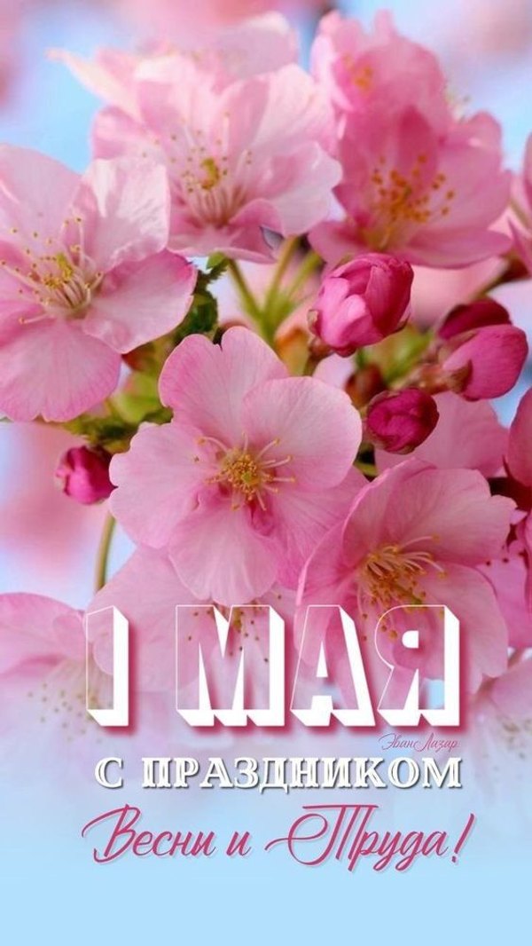 Изображение №43 564x1002 из коллекции «Открытки на 1 Мая»