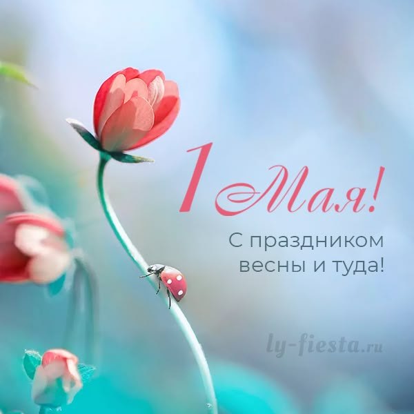 Изображение №48 600x600 из коллекции «Открытки на 1 Мая»