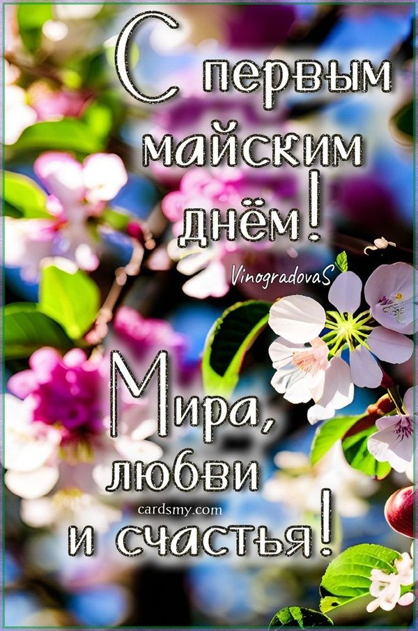 Изображение №6 662x1000 «Открытка С первым майским днём! Мира, любви, счастья!» из коллекции «Открытки на 1 Мая»