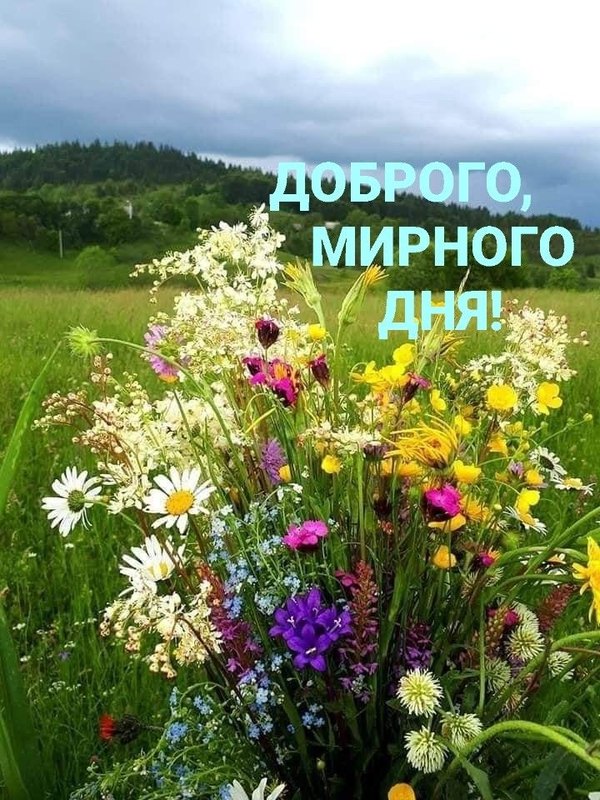 Изображение №11 720x960 «Открытка Доброго мирного дня!» из коллекции «Летние открытки «Хорошего доброго дня!»»