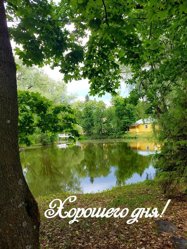 Изображение №49 1080x1440 из коллекции «Летние открытки «Хорошего доброго дня!»»