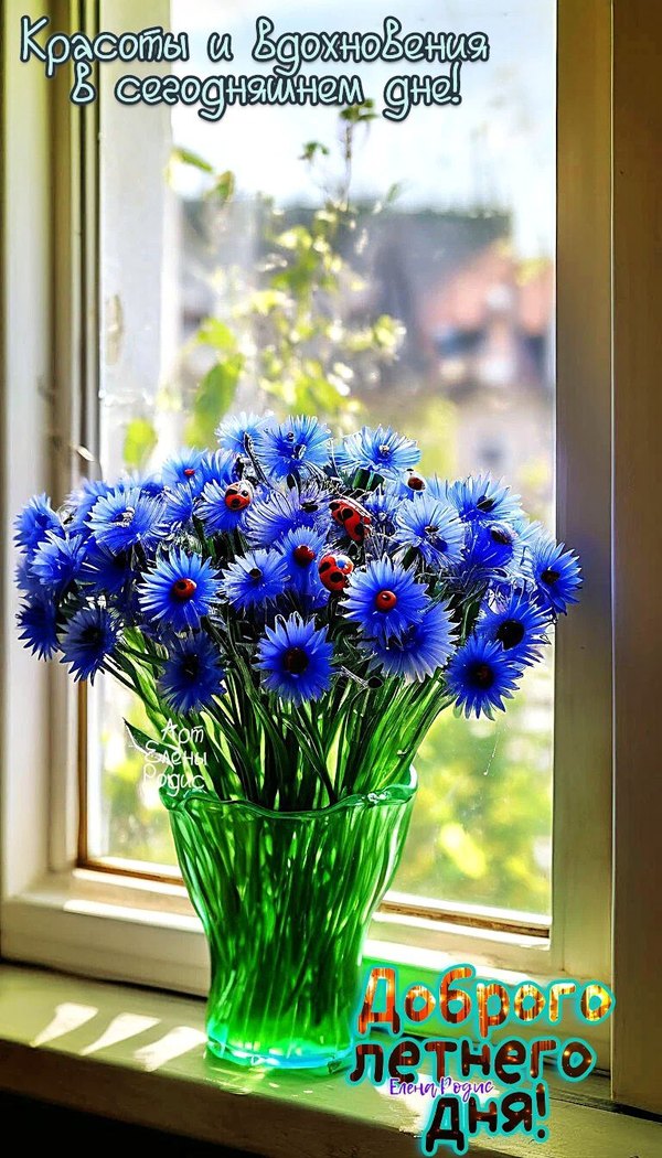 Изображение №5 768x1344 «Картинка Доброго летнего дня!» из коллекции «Летние открытки «Хорошего доброго дня!»»