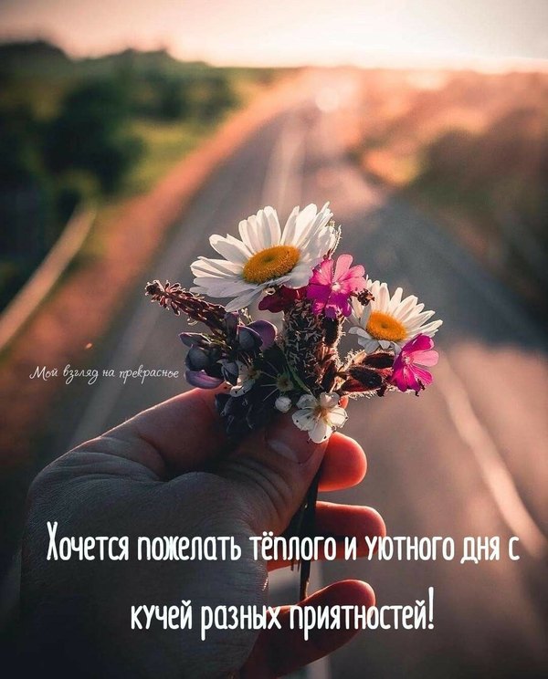 Изображение №50 1080x1340 из коллекции «Летние открытки «Хорошего доброго дня!»»