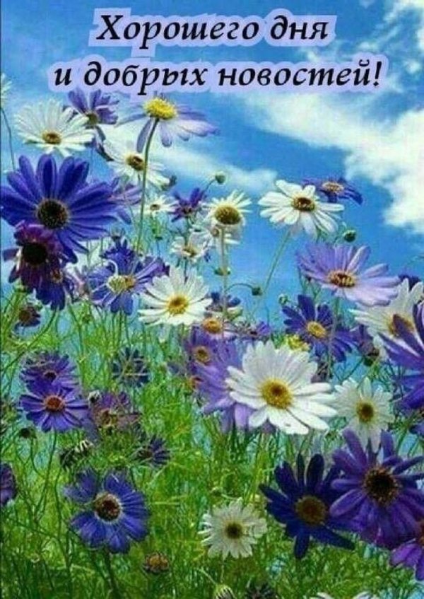 Изображение №25 544x768 из коллекции «Летние открытки «Хорошего доброго дня!»»