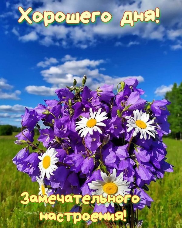 Изображение №26 736x920 из коллекции «Летние открытки «Хорошего доброго дня!»»