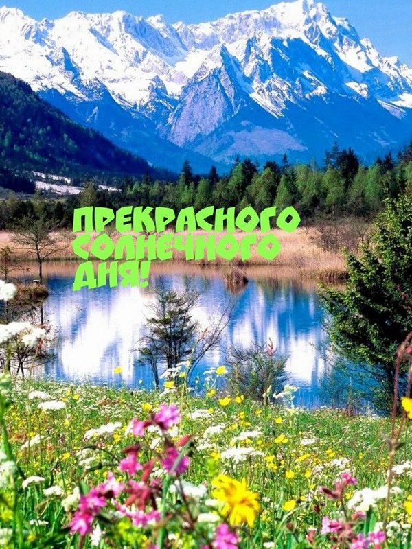 Изображение №65 720x960 «Откртыка Прекрасного солнечного дня!» из коллекции «Летние открытки «Хорошего доброго дня!»»