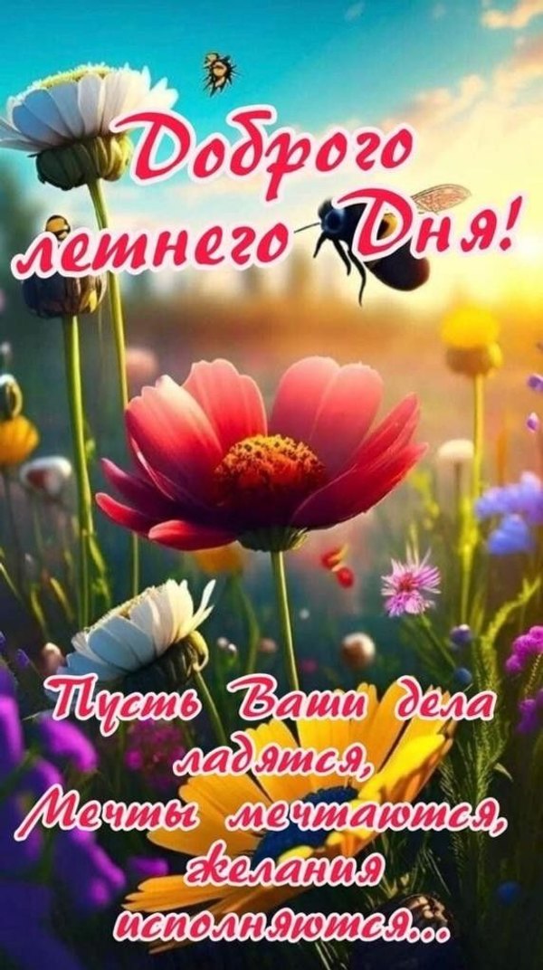 Изображение №3 573x1024 «Красивая открытка Доброго летнего дня!» из коллекции «Летние открытки «Хорошего доброго дня!»»