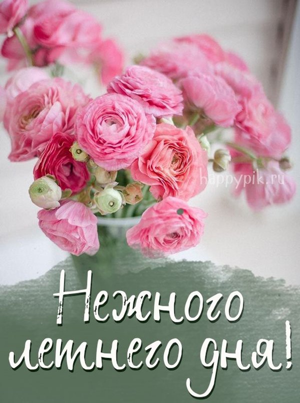 Изображение №53 597x800 «Открытка Нежного летнего дня!» из коллекции «Летние открытки «Хорошего доброго дня!»»