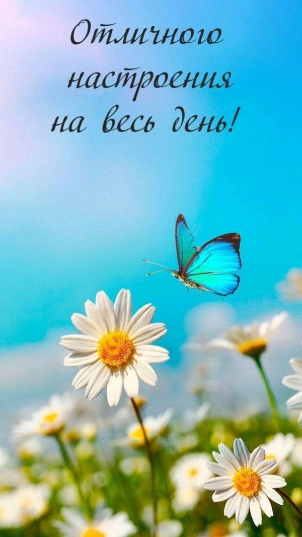 Изображение №60 700x1244 «Отличного настроения на весь день!» из коллекции «Летние открытки «Хорошего доброго дня!»»