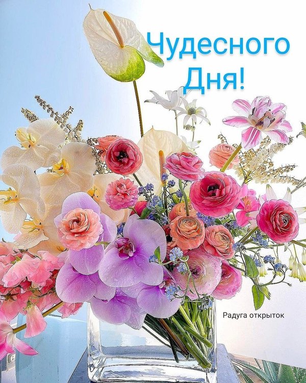 Изображение №18 1080x1350 «Чудесного дня!» из коллекции «Летние открытки «Хорошего доброго дня!»»