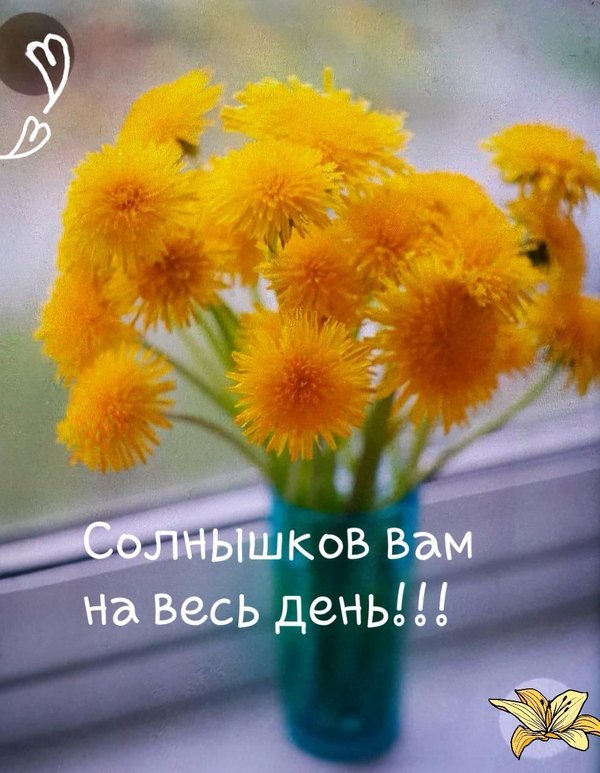 Изображение №47 984x1268 «Солнышков вам на весь день!» из коллекции «Летние открытки «Хорошего доброго дня!»»