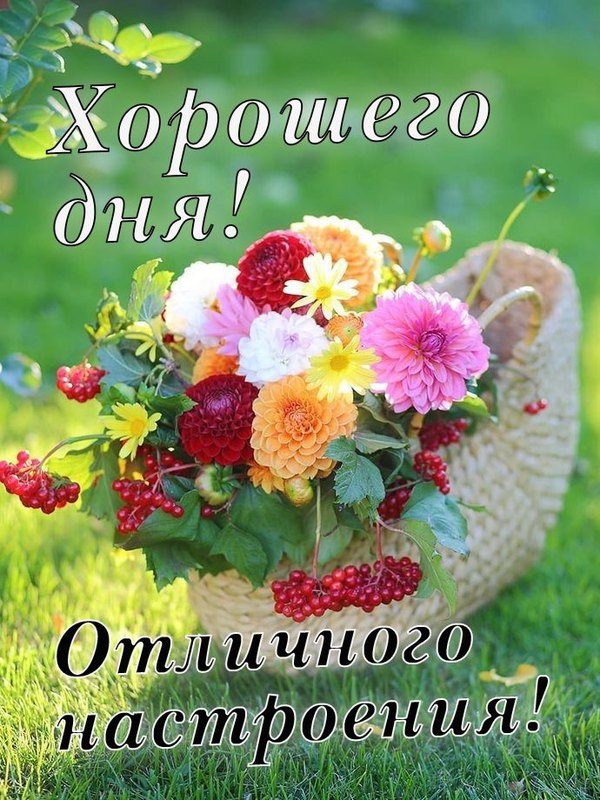 Изображение №21 690x920 из коллекции «Летние открытки «Хорошего доброго дня!»»