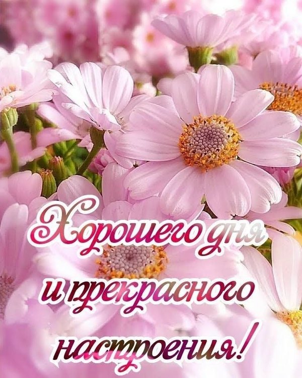 Изображение №41 736x920 из коллекции «Летние открытки «Хорошего доброго дня!»»