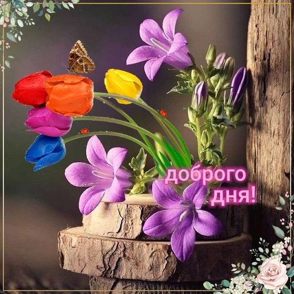 Изображение №61 612x612 из коллекции «Летние открытки «Хорошего доброго дня!»»