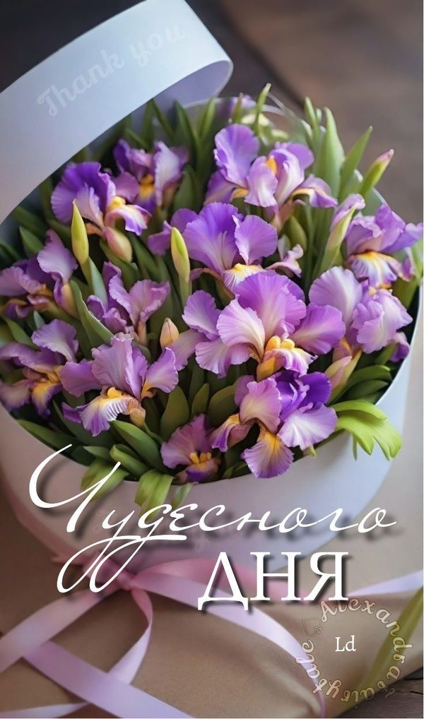 Изображение №27 736x1249 из коллекции «Летние открытки «Хорошего доброго дня!»»