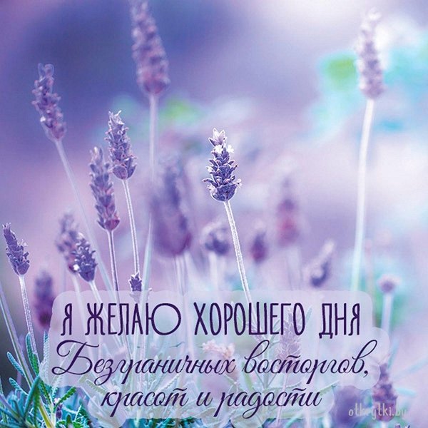 Изображение №63 1080x1080 «Открытка Я желаю хорошего дня!» из коллекции «Летние открытки «Хорошего доброго дня!»»