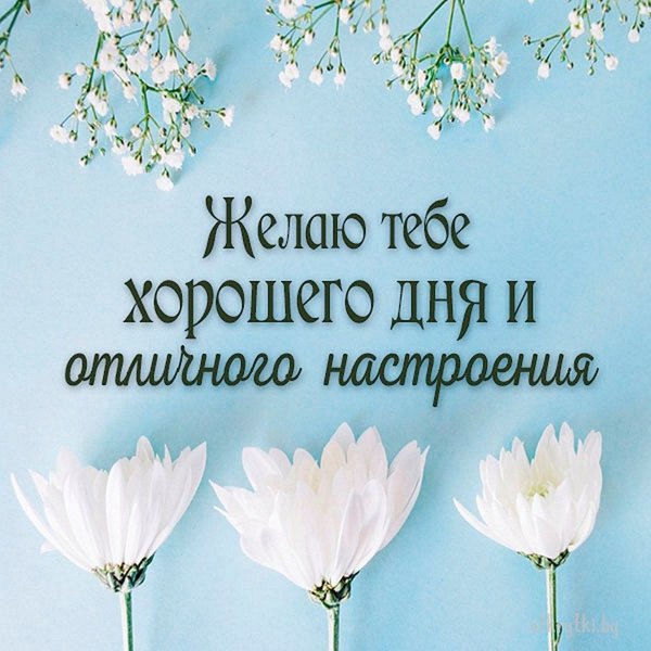 Изображение №72 1080x1080 «Желаю тебе хорошего дня и отличного настроения!» из коллекции «Летние открытки «Хорошего доброго дня!»»