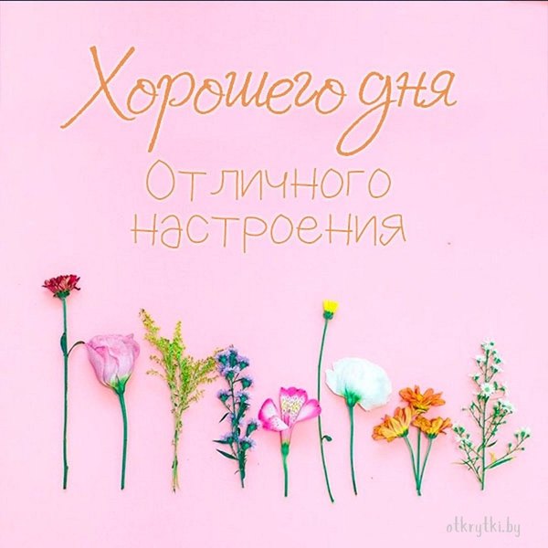 Изображение №74 1080x1080 «Открытка Хорошего дня! Отличного настроения!» из коллекции «Летние открытки «Хорошего доброго дня!»»