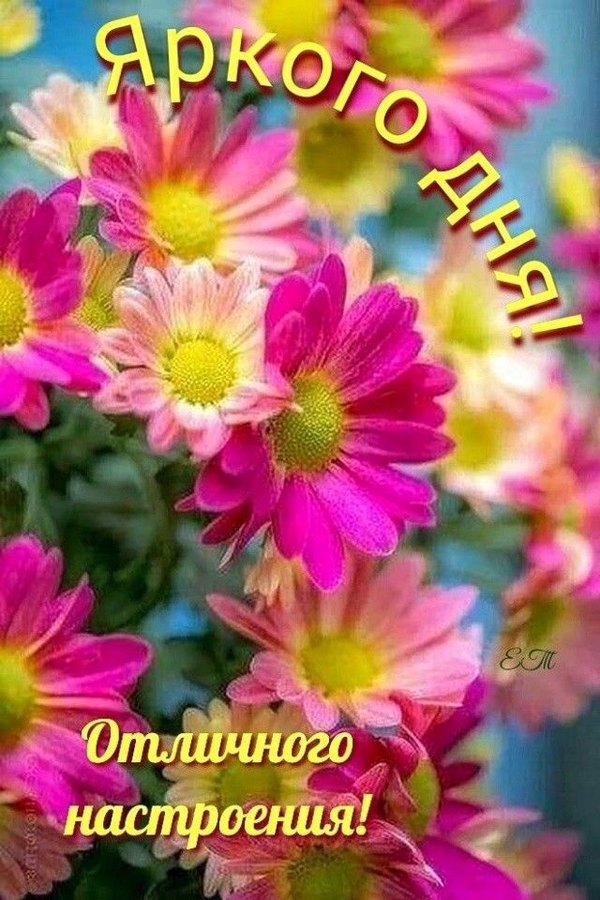 Изображение №28 640x960 «Яркого дня! Отличного настроения!» из коллекции «Летние открытки «Хорошего доброго дня!»»