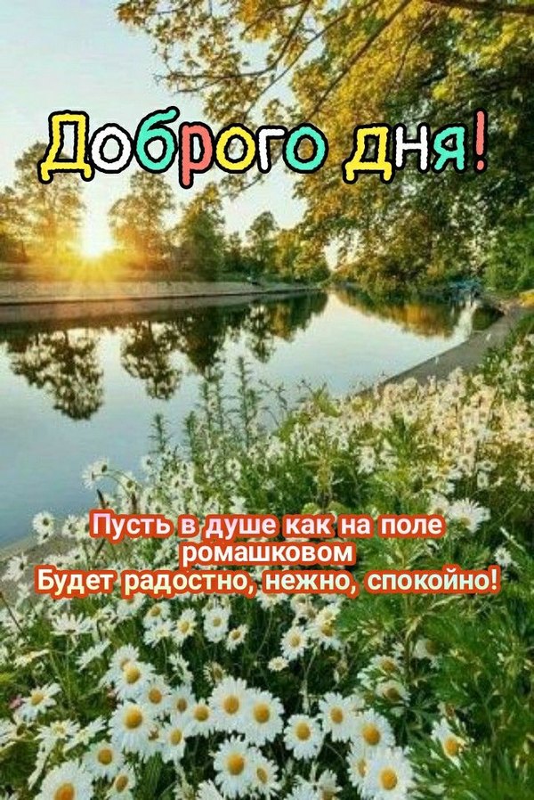 Изображение №8 720x1078 из коллекции «Летние открытки «Хорошего доброго дня!»»