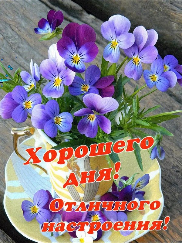 Изображение №4 720x960 «Открытка Хорошего дня! Отличного настроения!» из коллекции «Летние открытки «Хорошего доброго дня!»»