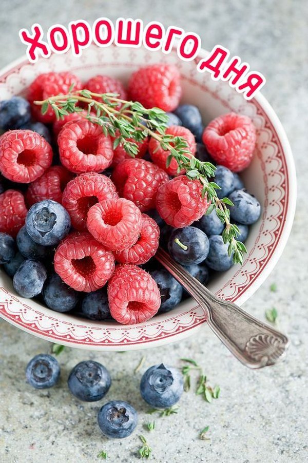 Изображение №46 532x800 из коллекции «Летние открытки «Хорошего доброго дня!»»