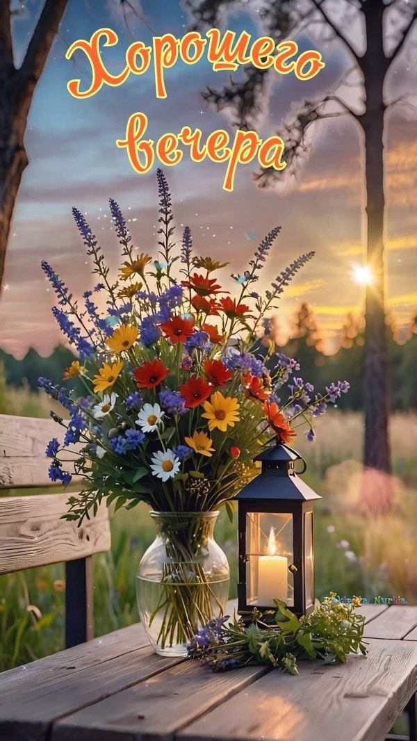 Изображение №11 736x1308  из коллекции «Летние открытки «Хорошего доброго вечера!»»