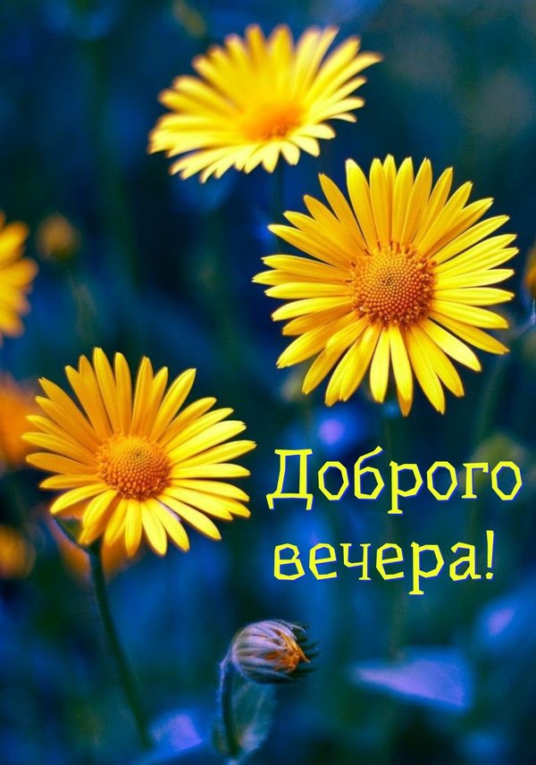 Изображение №33 1080x1540  из коллекции «Летние открытки «Хорошего доброго вечера!»»