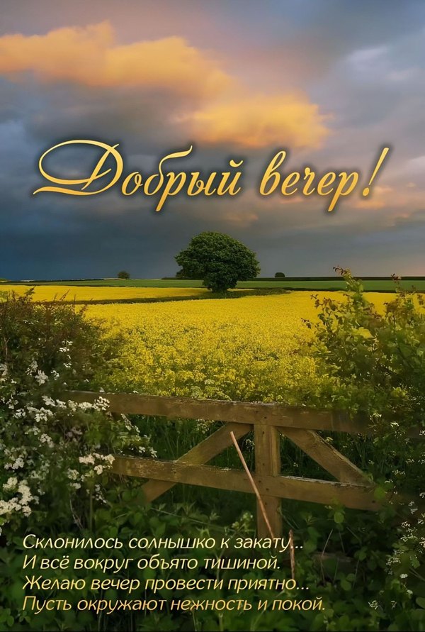 Изображение №26 1076x1598 «Добрый летний вечер!» из коллекции «Летние открытки «Хорошего доброго вечера!»»