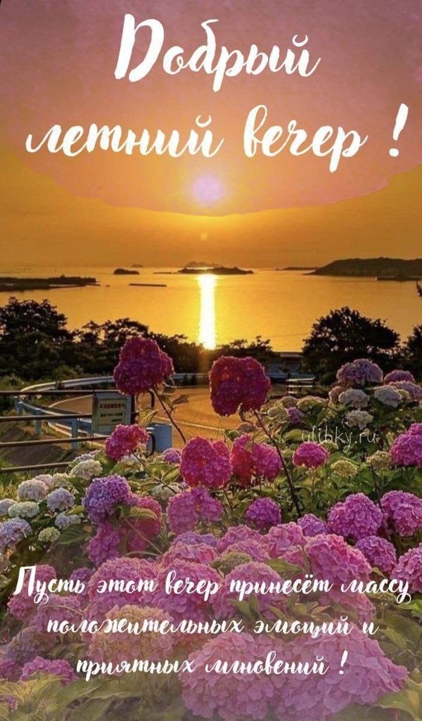 Изображение №76 704x1200  из коллекции «Летние открытки «Хорошего доброго вечера!»»