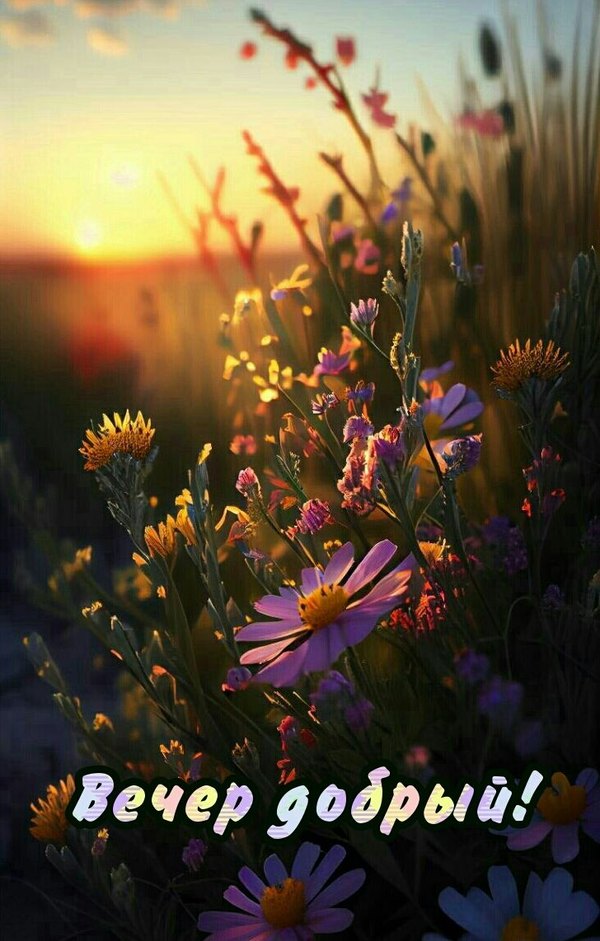 Изображение №39 728x1142  из коллекции «Летние открытки «Хорошего доброго вечера!»»