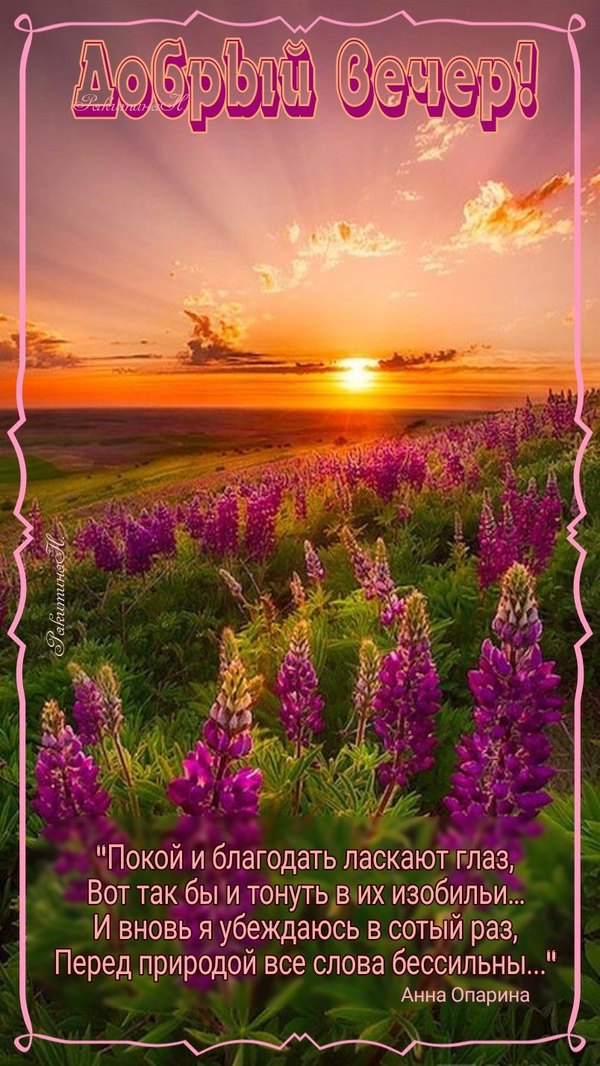 Изображение №35 804x1428  из коллекции «Летние открытки «Хорошего доброго вечера!»»