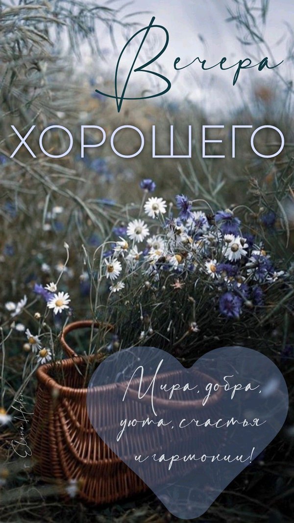 Изображение №30 1200x2133  из коллекции «Летние открытки «Хорошего доброго вечера!»»