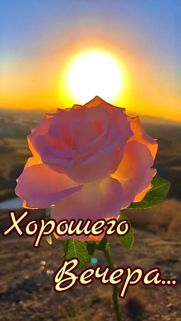 Изображение №70 1040x1848  из коллекции «Летние открытки «Хорошего доброго вечера!»»