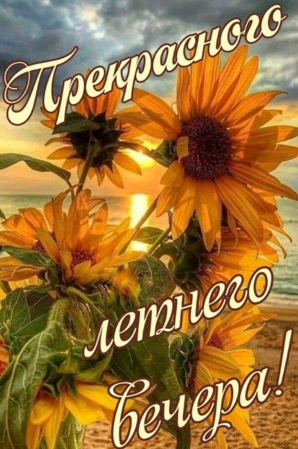 Изображение №77 452x680 «Открытка Прекрасного летнего вечера!» из коллекции «Летние открытки «Хорошего доброго вечера!»»