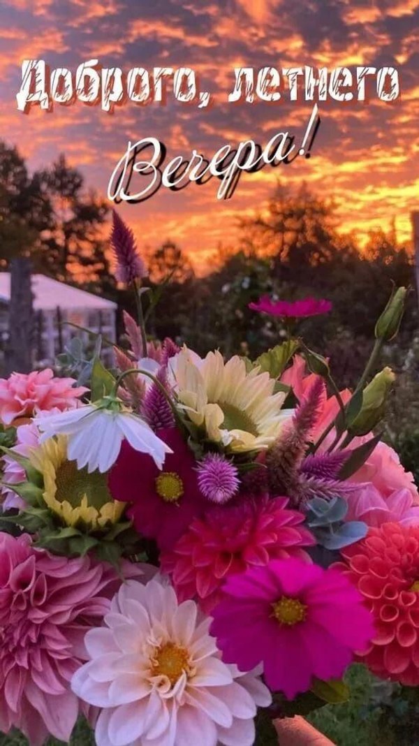 Изображение №23 564x1004  из коллекции «Летние открытки «Хорошего доброго вечера!»»