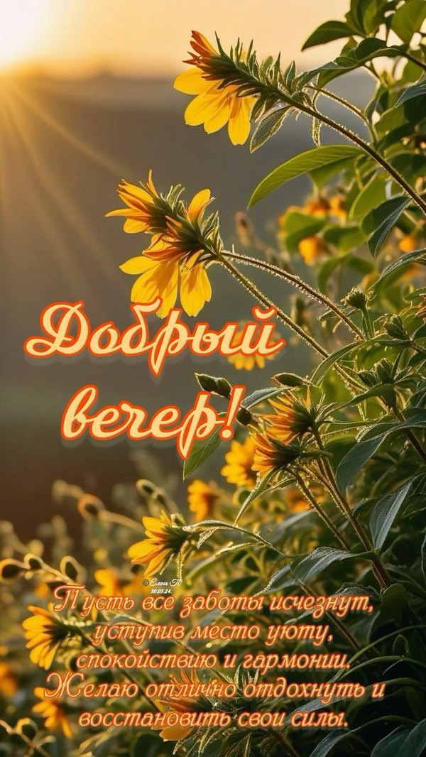 Изображение №50 736x1308  из коллекции «Летние открытки «Хорошего доброго вечера!»»