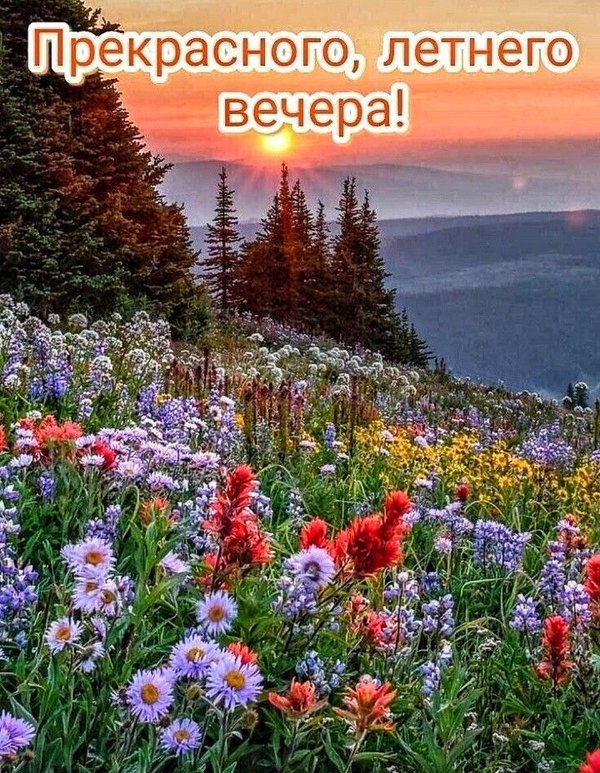 Изображение №45 720x928 «Открытка Прекрасного, летнего вечера!» из коллекции «Летние открытки «Хорошего доброго вечера!»»