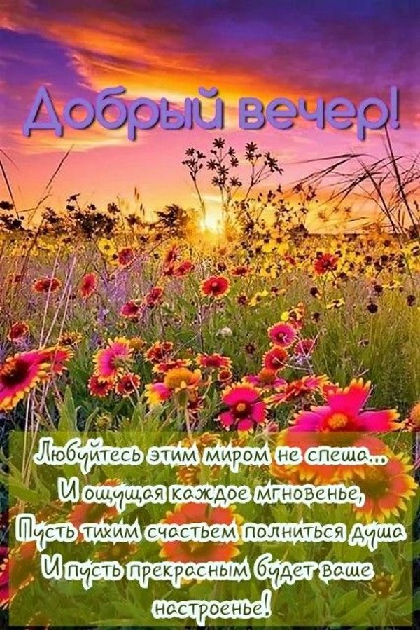 Изображение №18 427x640  из коллекции «Летние открытки «Хорошего доброго вечера!»»