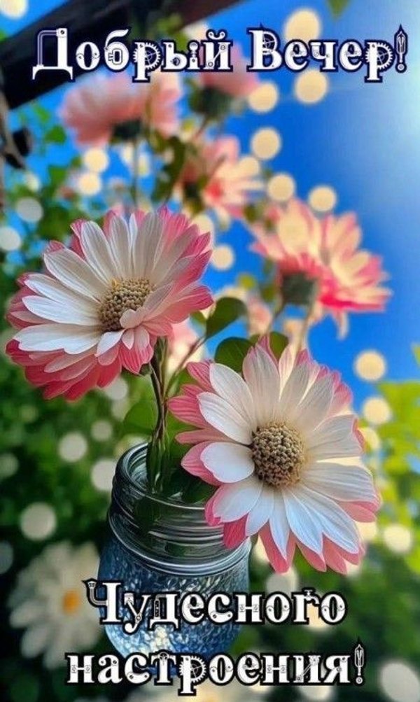 Изображение №3 451x754  из коллекции «Летние открытки «Хорошего доброго вечера!»»