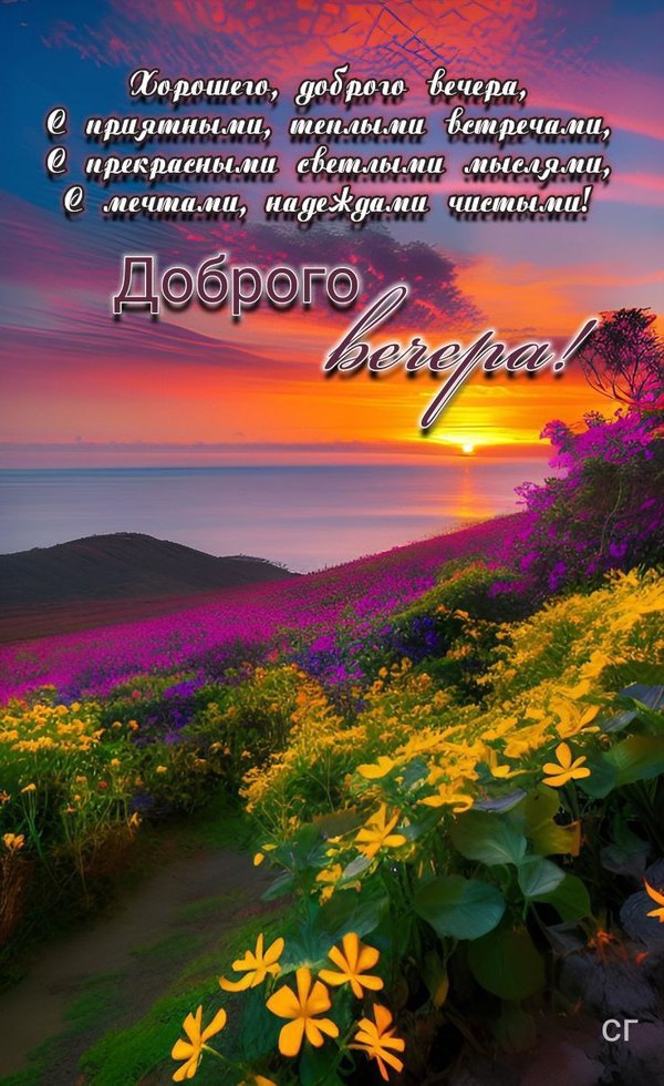 Изображение №67 736x1202 «Открытка пожелание Доброго вечера! Поле с цветами.» из коллекции «Летние открытки «Хорошего доброго вечера!»»