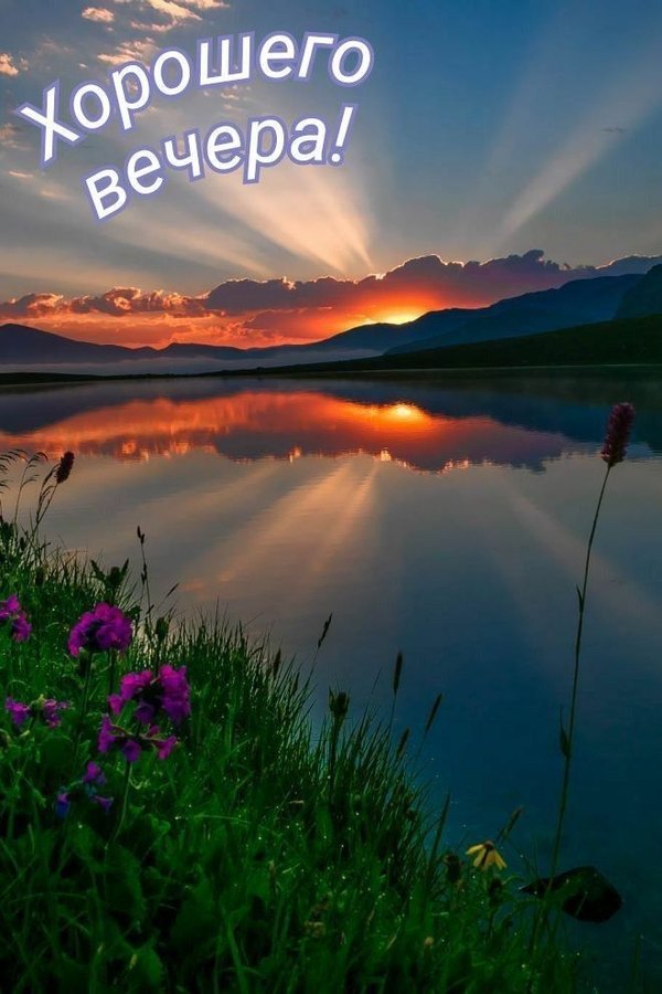 Изображение №83 660x990  из коллекции «Летние открытки «Хорошего доброго вечера!»»